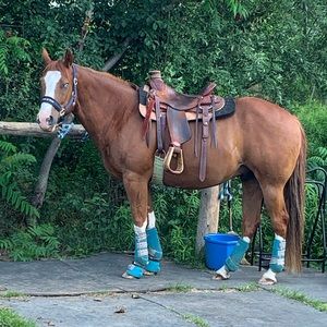 Meet your Posher, Chandra